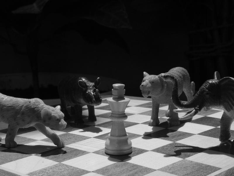 合資公司出現僵局怎麼辦？